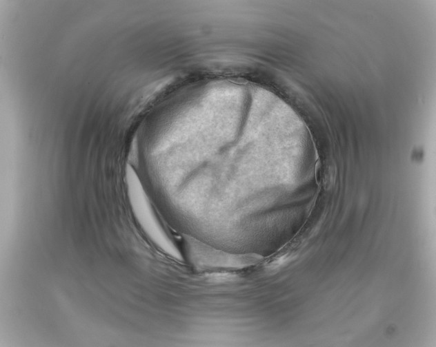 X0000093111108200710241236