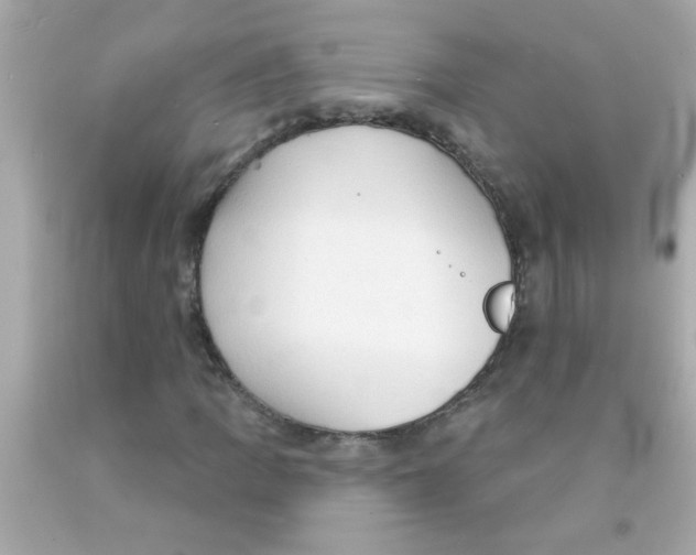 X0000093111109200710241236