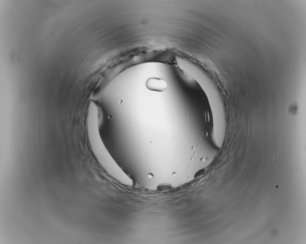 X0000093111110200710241236