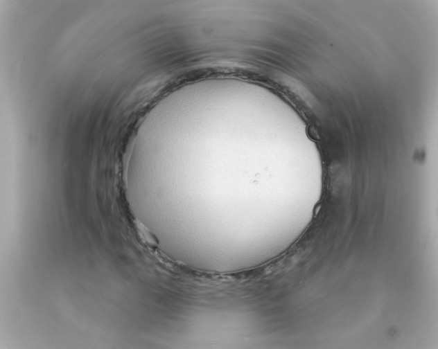 X0000093111111200710241236