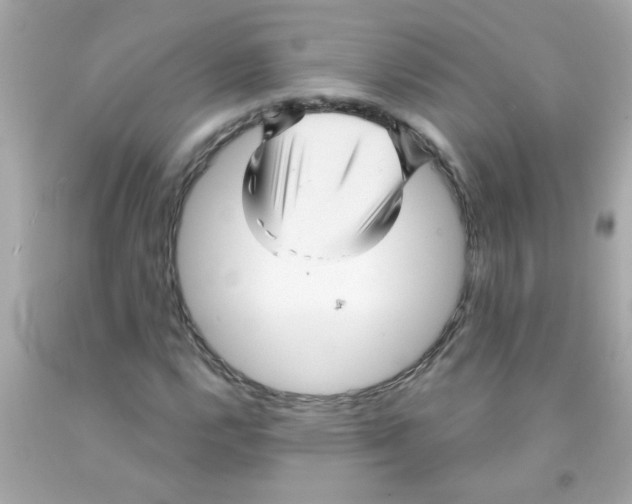 X0000093111112200710241236