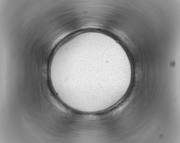 X0000093111113200710241236