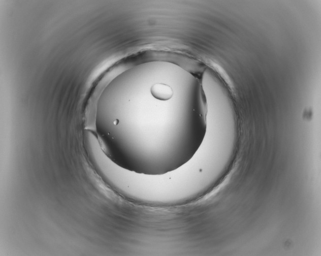 X0000093111114200710241236