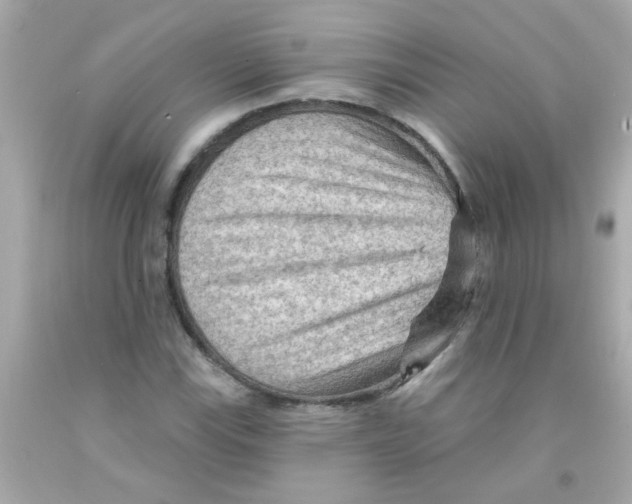 X0000093111115200710241236