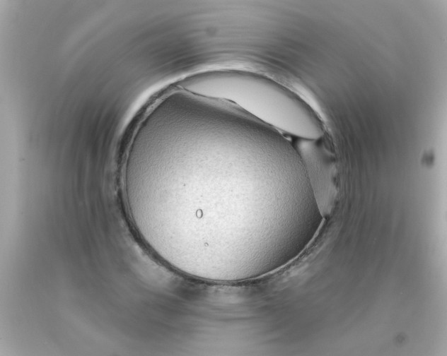 X0000093111116200710241236