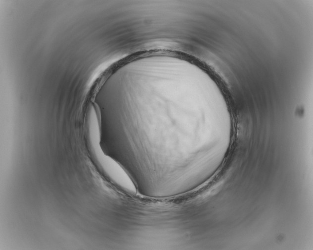 X0000093111117200710241236