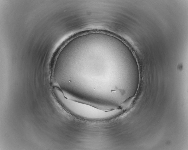 X0000093111118200710241236