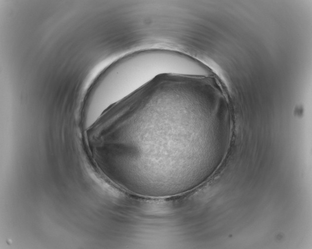 X0000093111120200710241236