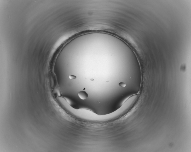 X0000093111122200710241236