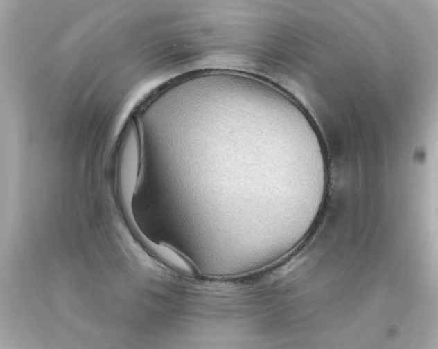 X0000093111123200710241236