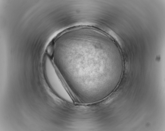 X0000093111124200710241236