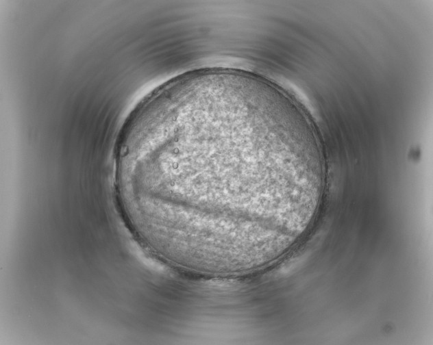 X0000093111125200710241236