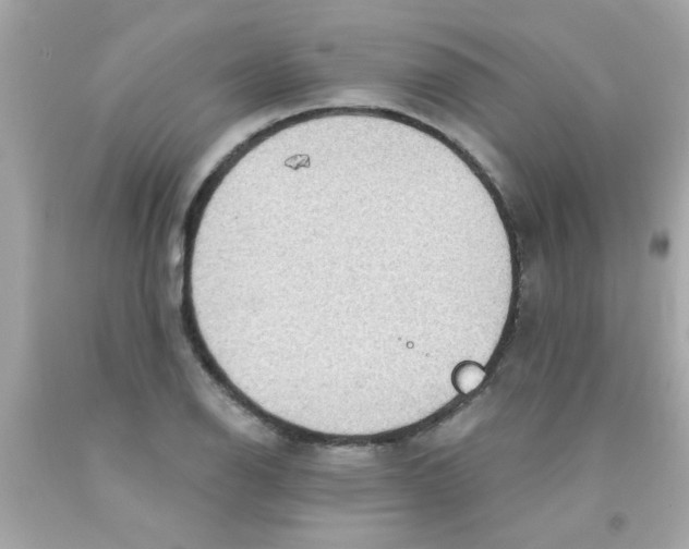 X0000093111126200710241236