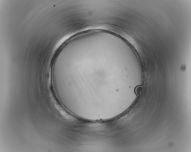 X0000093111127200710241236