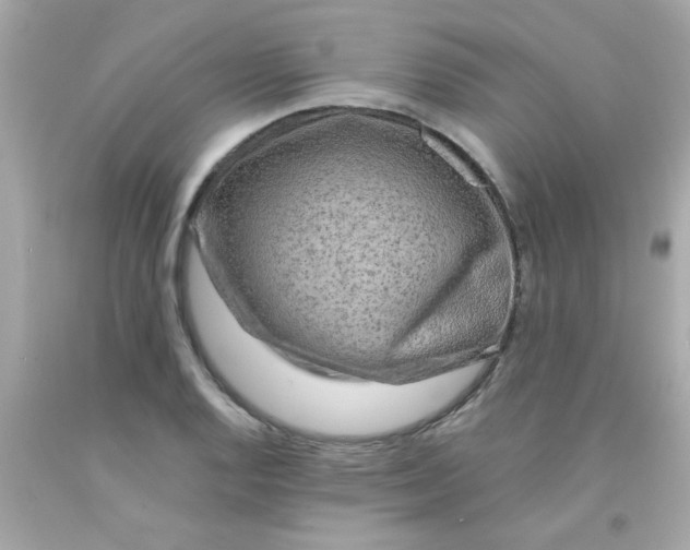 X0000093111128200710241236