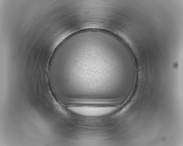 X0000093111129200710241236