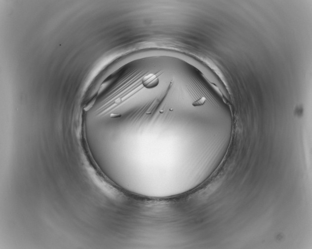 X0000093111131200710241236