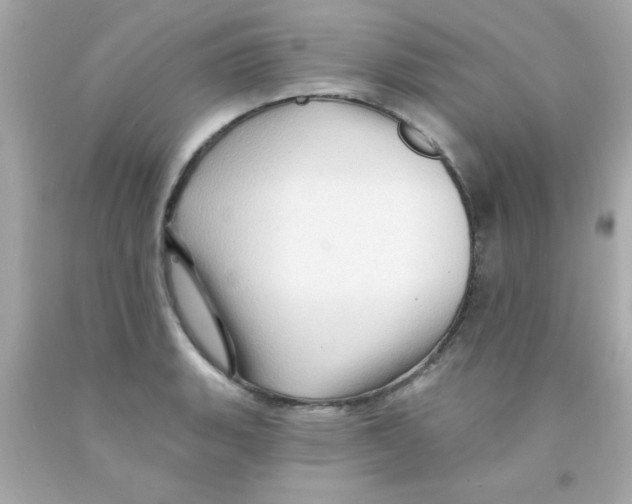 X0000093111135200710241236