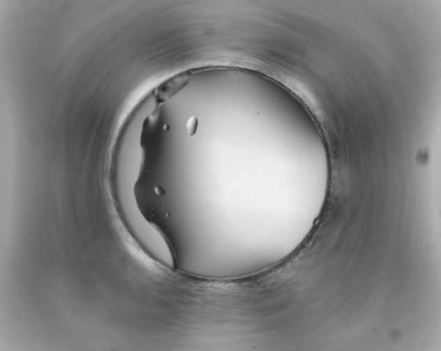 X0000093111136200710241236