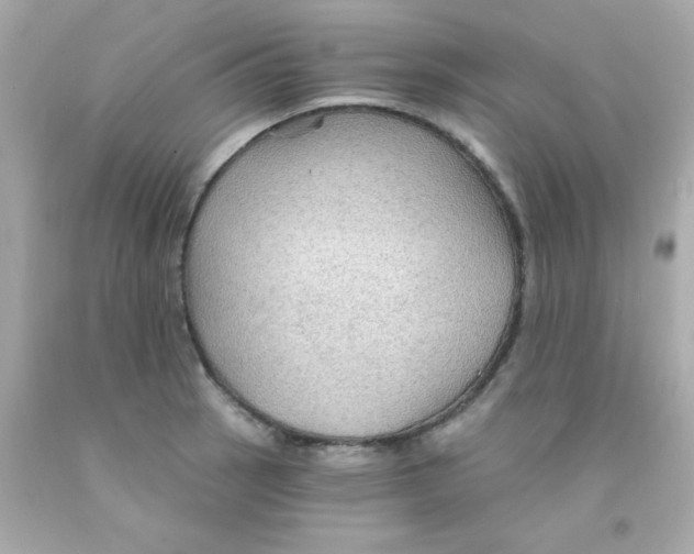 X0000093111137200710241236