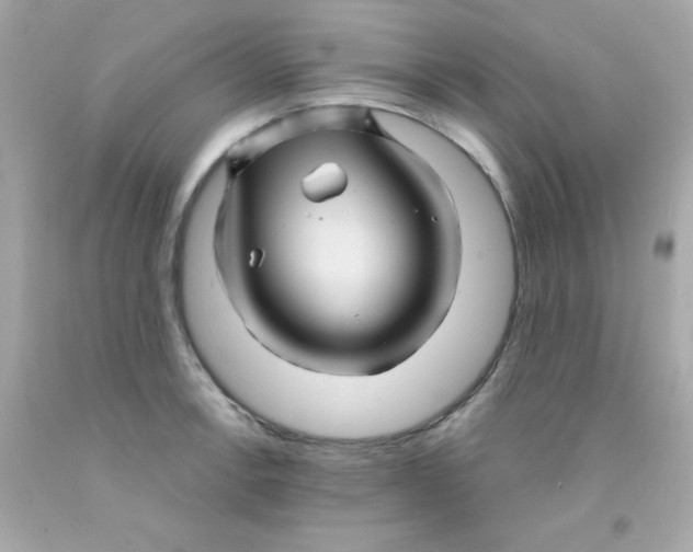 X0000093111138200710241236