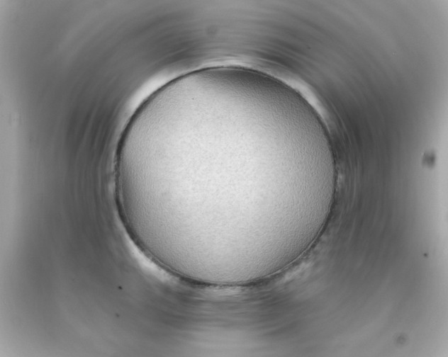 X0000093111143200710241236