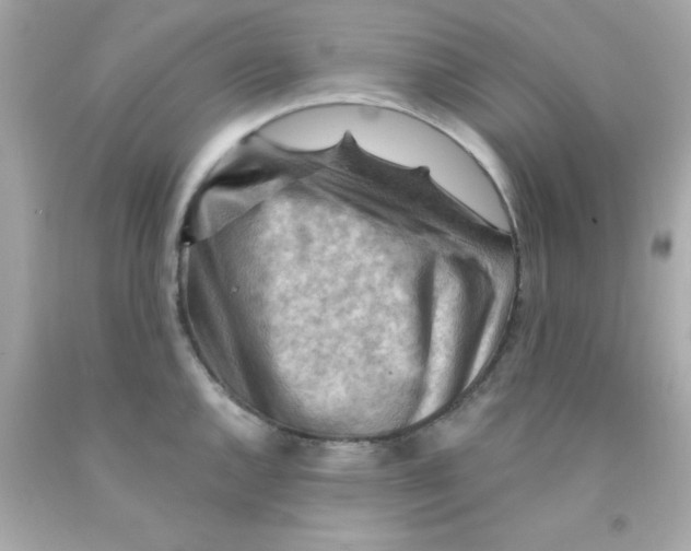 X0000093111144200710241237