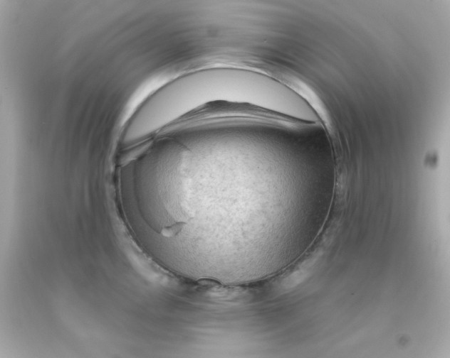 X0000093111146200710241237