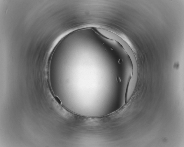 X0000093111148200710241237