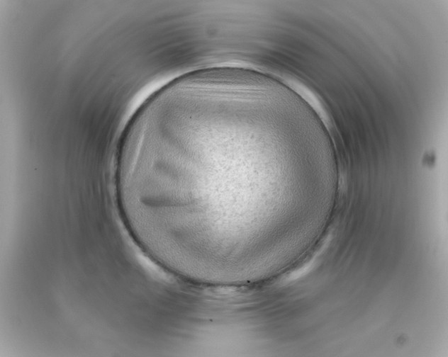 X0000093111149200710241237