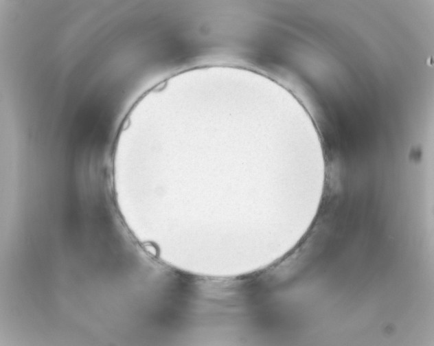 X0000093111150200710241237