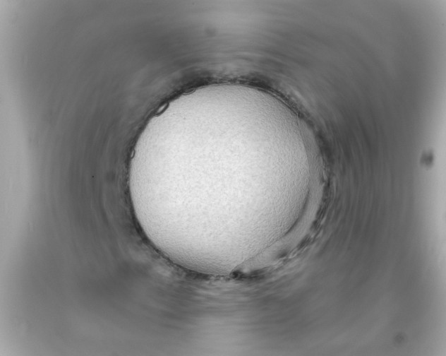 X0000093111153200710241236