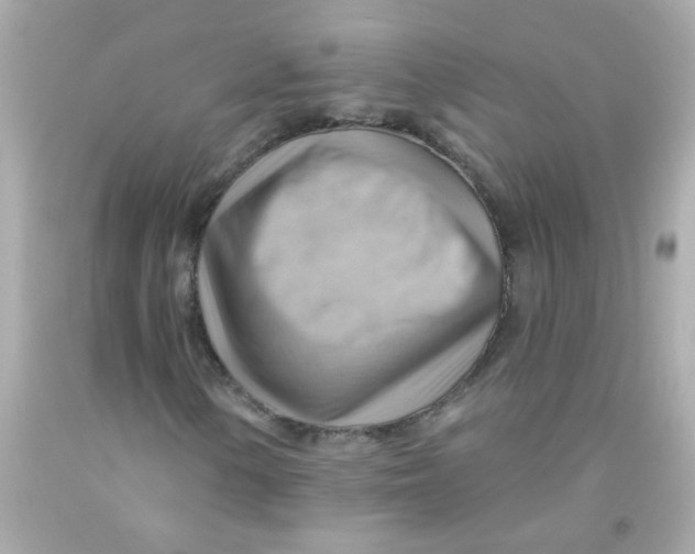 X0000093111154200710241236