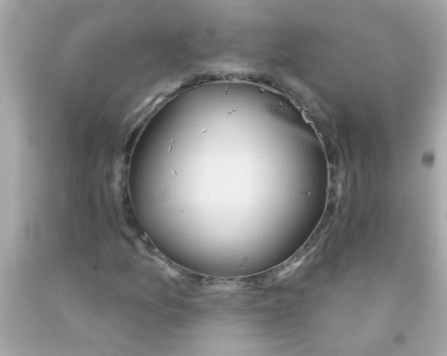 X0000093111157200710241236