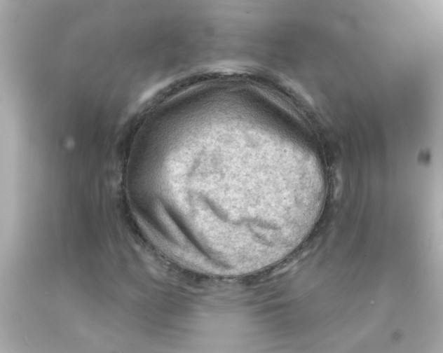 X0000093111158200710241236