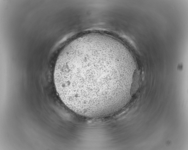 X0000093111159200710241236