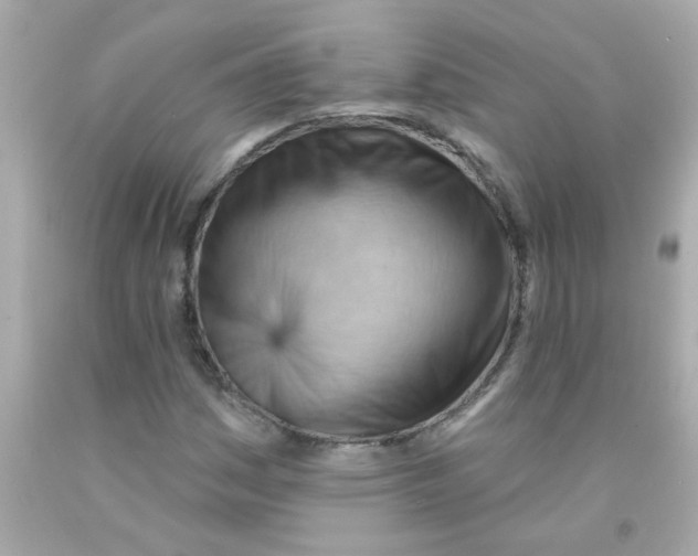 X0000093111161200710241236