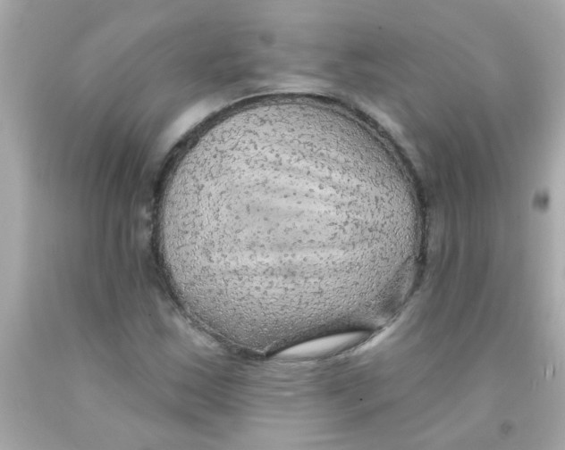 X0000093111163200710241236