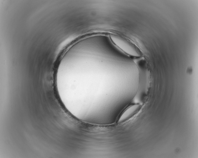 X0000093111164200710241236