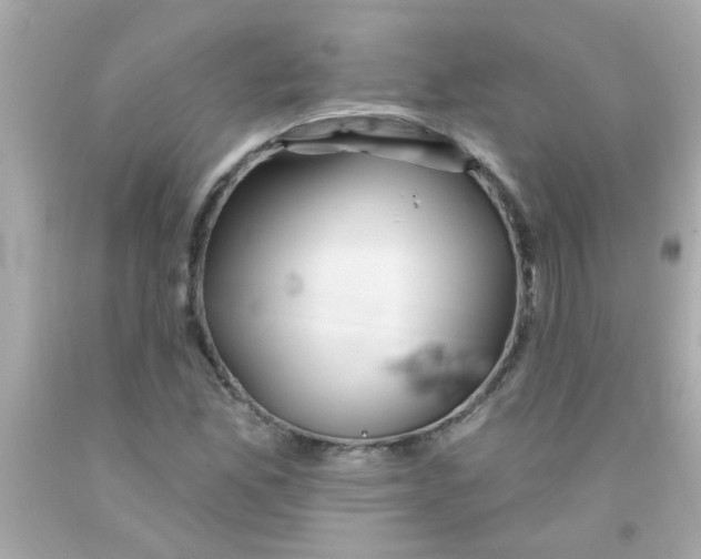 X0000093111165200710241236