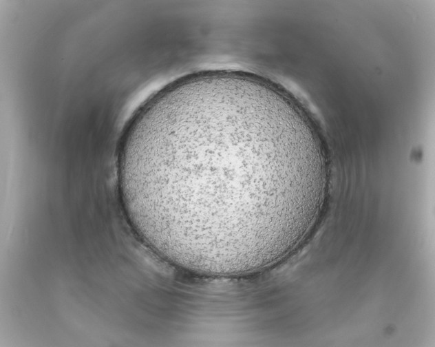 X0000093111167200710241236