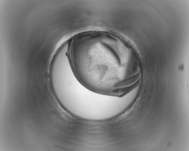 X0000093111168200710241236