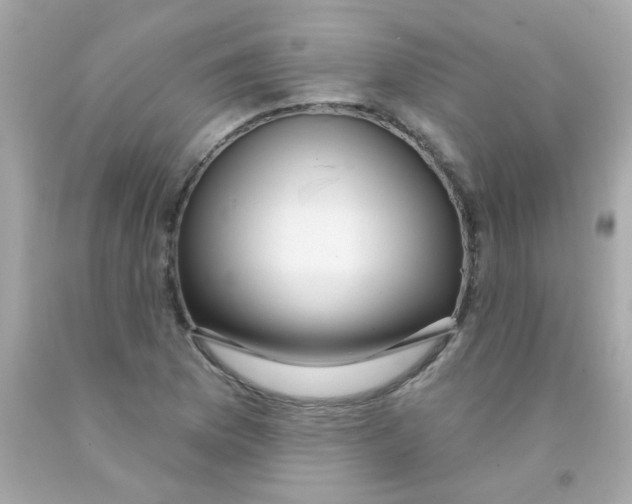 X0000093111169200710241236