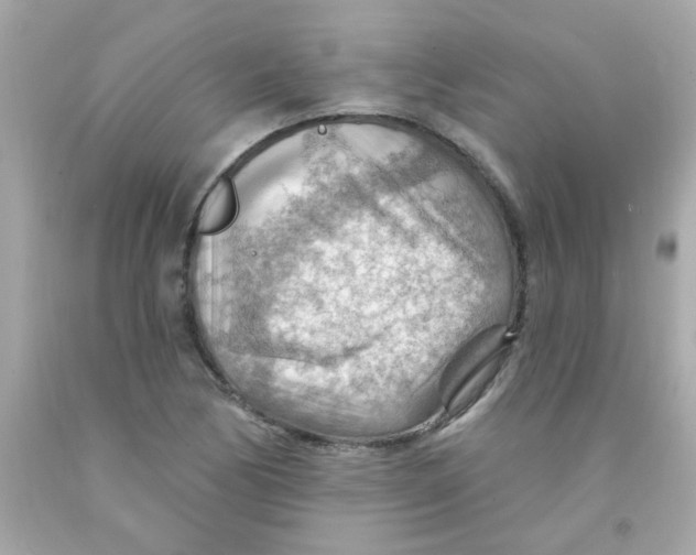 X0000093111170200710241236