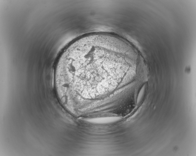 X0000093111171200710241236