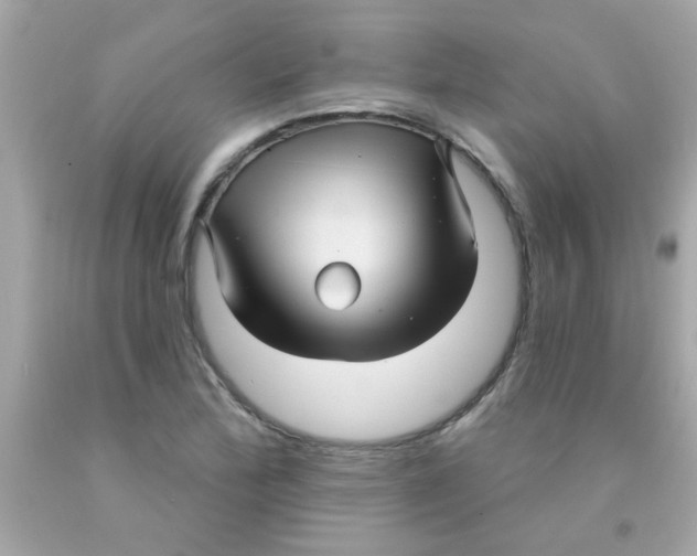 X0000093111172200710241236