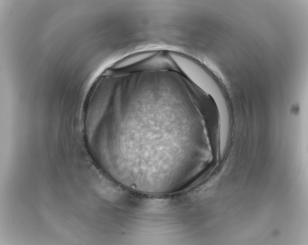 X0000093111173200710241236