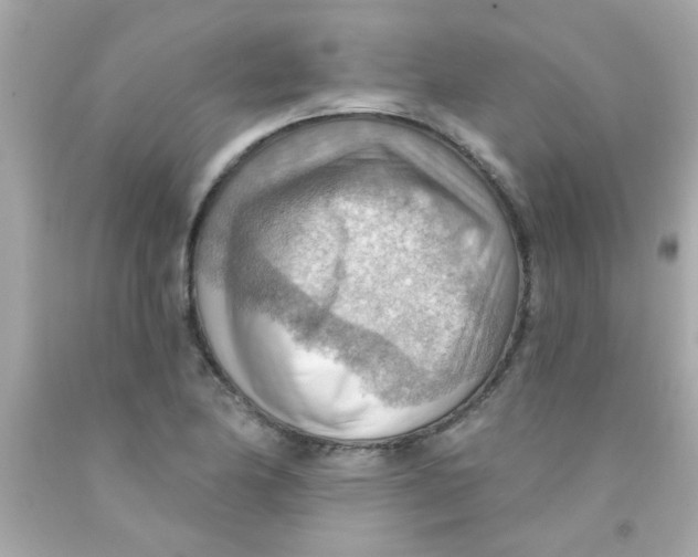 X0000093111174200710241236