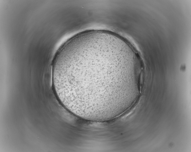 X0000093111175200710241236