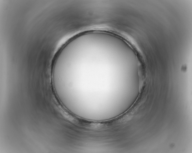 X0000093111176200710241236